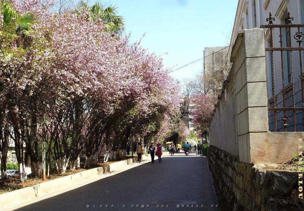 094-Quentin - Kunming .JPG